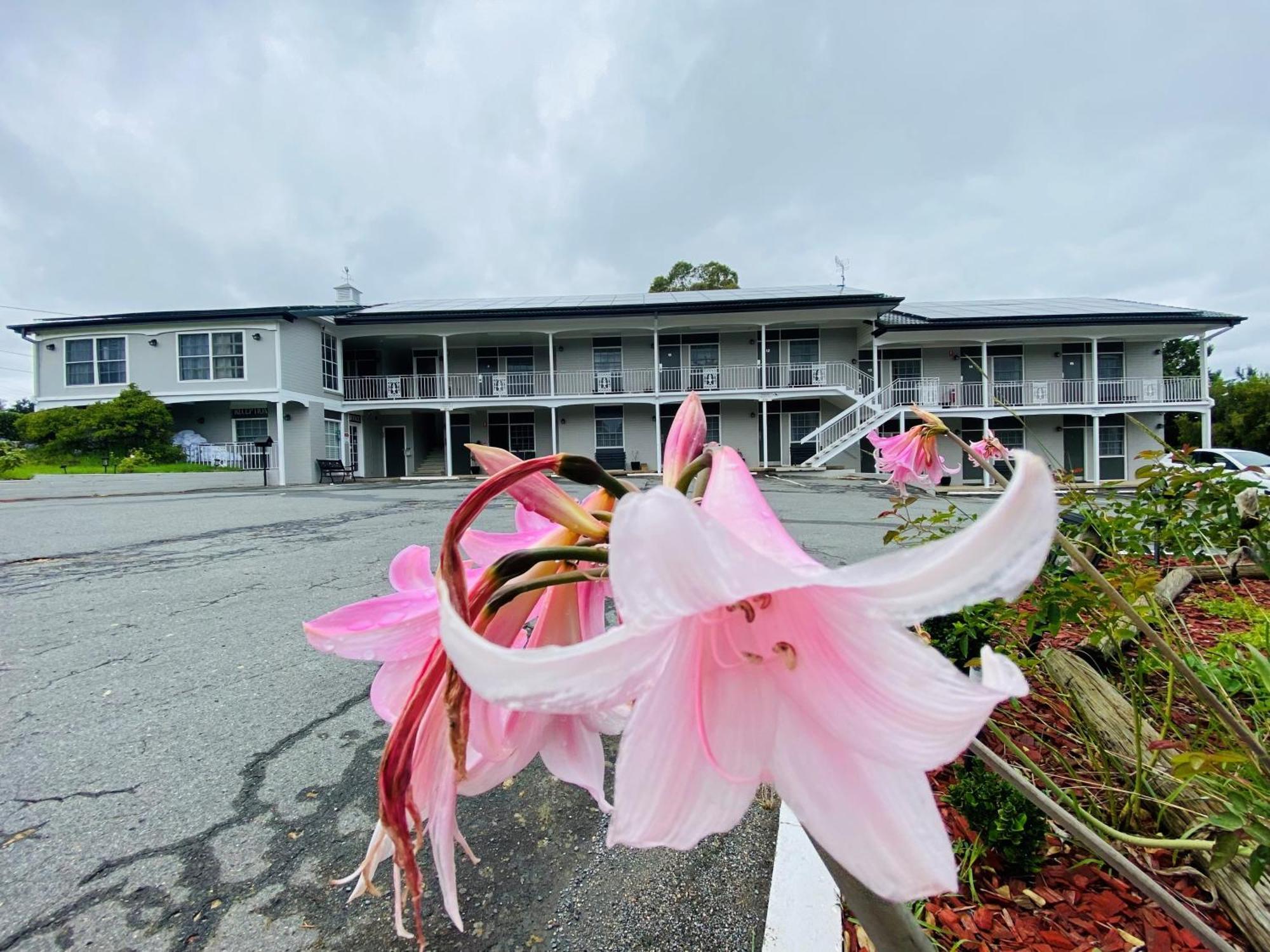 Colonial Lodge Motor Inn Ясс Екстер'єр фото